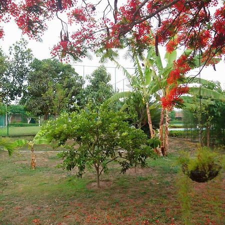 Casa Em Condominio Tranquilo De Gravata Kültér fotó